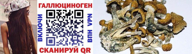 Галлюциногенные грибы MAGIC MUSHROOMS  Бийск 