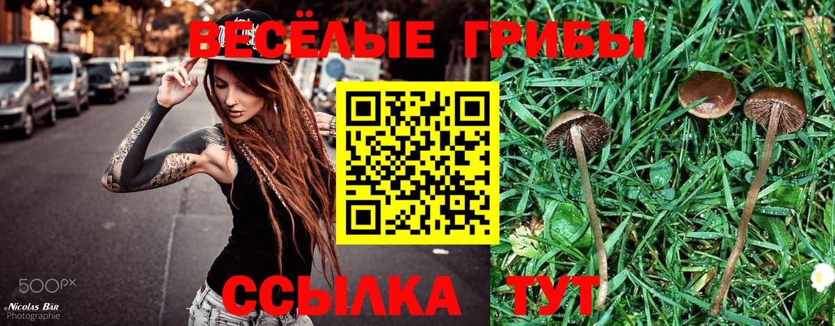 Бийск  Галлюциногенные грибы Magic Shrooms  Вход с VPN  Галлюциногенные грибы мицелий 
