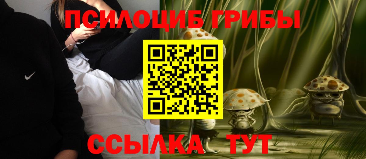 Псилоцибиновые грибы Бийск