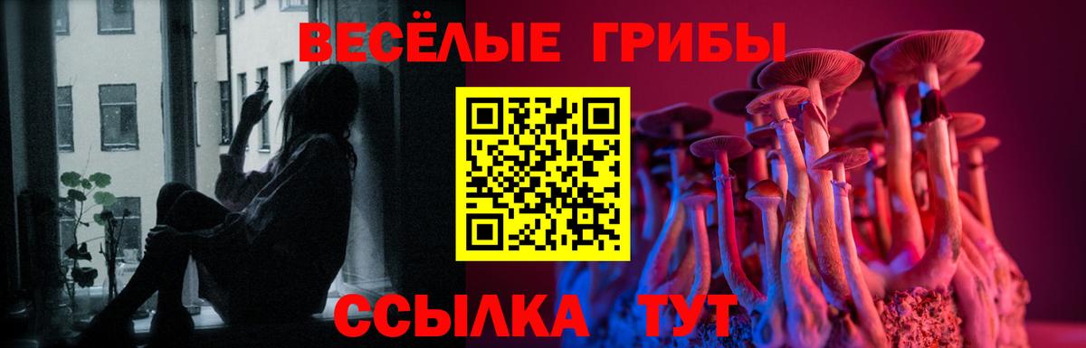 Галлюциногенные грибы MAGIC MUSHROOMS  Псилоцибиновые грибы мухоморы  Бийск 